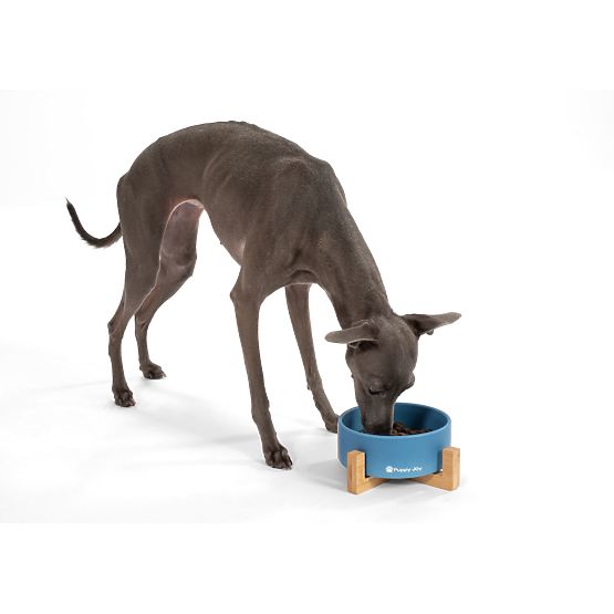 Ceramiczna miska dla psa lub kota niebieska PJ-033