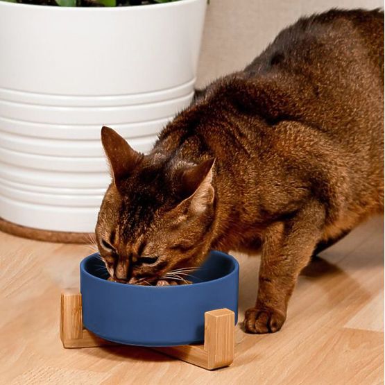 Ceramiczna miska dla psa lub kota niebieska PJ-033