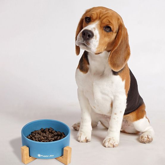 Ceramiczna miska dla psa lub kota niebieska PJ-033