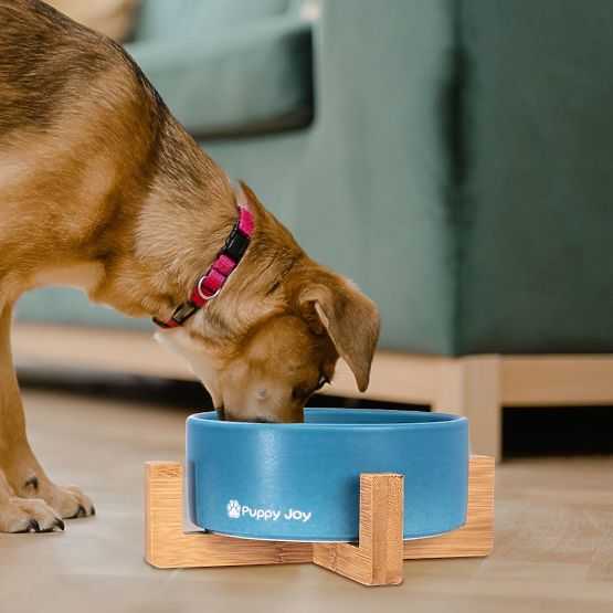 Ceramiczna miska dla psa lub kota niebieska PJ-033