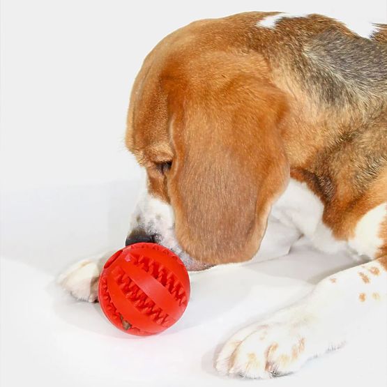 Czerwona piłka do żucia dla psów PJ-090