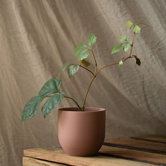 Doniczka SHIRE kolor pudrowy róż nowoczesny styl do wnętrz ameliahome