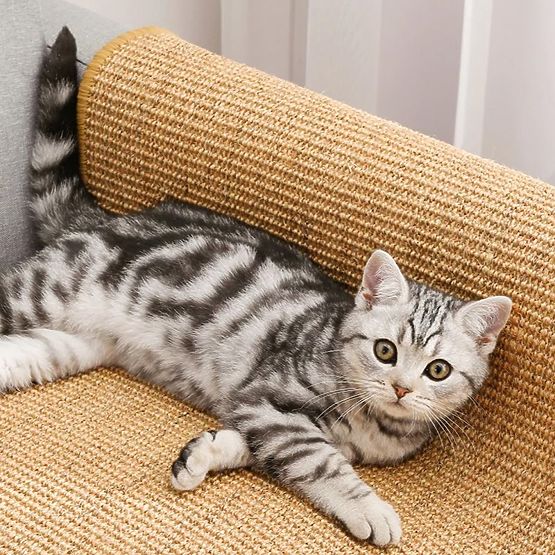 DRAPAK PODKŁADKA DLA KOTA 60x40cm 332494