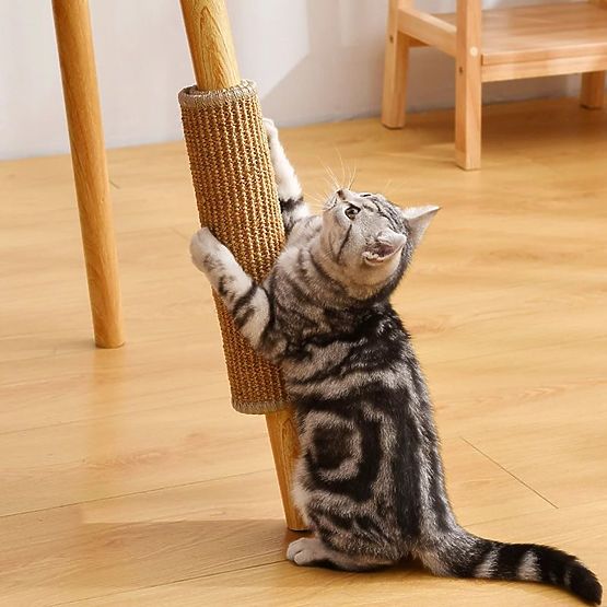 DRAPAK PODKŁADKA DLA KOTA 60x40cm 332494