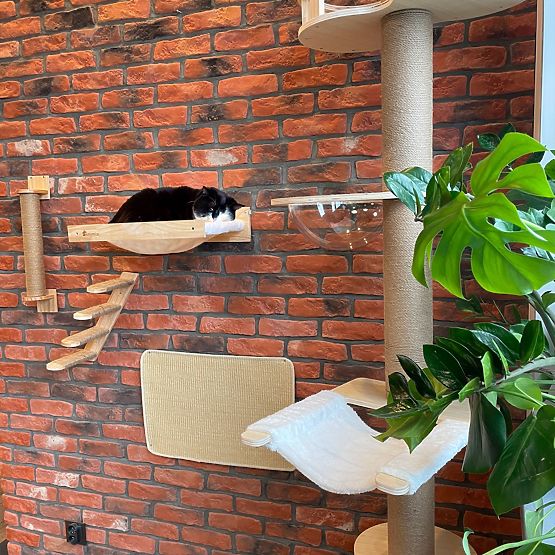 DRAPAK PODKŁADKA DLA KOTA 60x40cm 332494