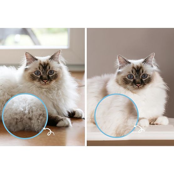 Grzebień - profesjonalna szczotka przeciwko splątaniu PJ-040