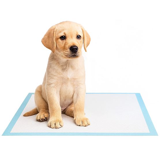 Higieniczne podkłady dla zwierząt BARRY 60x90 50 szt.