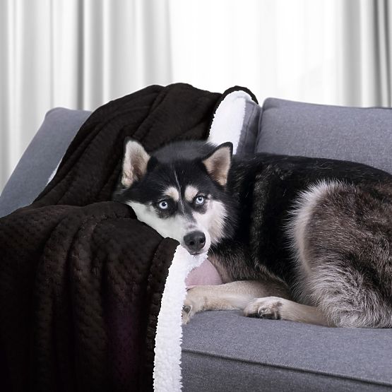 Koc SHLEEPY czarna z wzorem żakardowym styl klasyczny 130x180