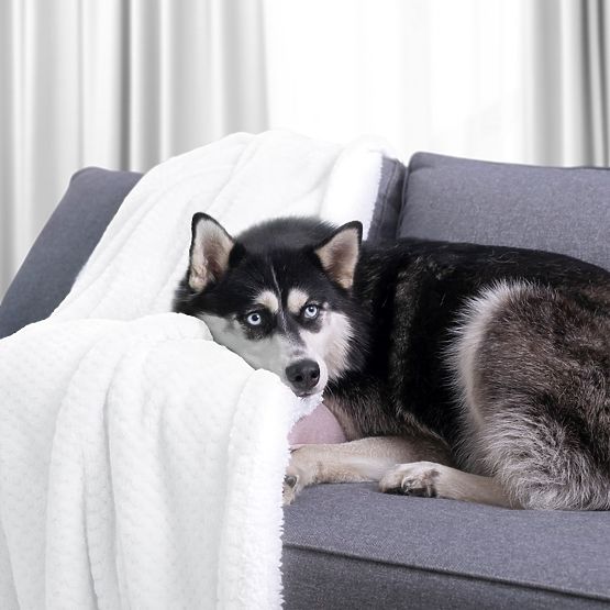 Kołdra SHLEEPY biała z żakardowym reliefem styl klasyczny 220x240