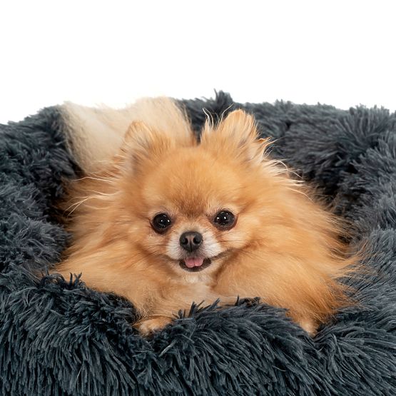 LEGOWISKO DLA PSA KOTA PJ-005 CIEMNOSZARE XL