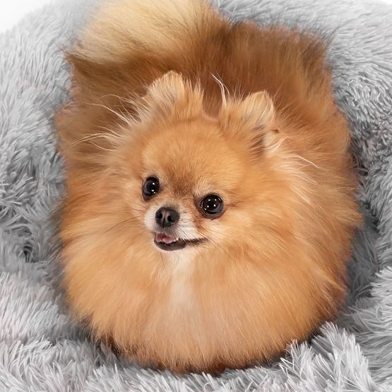 LEGOWISKO DLA PSA KOTA PJ-013 JASNO SZARY M