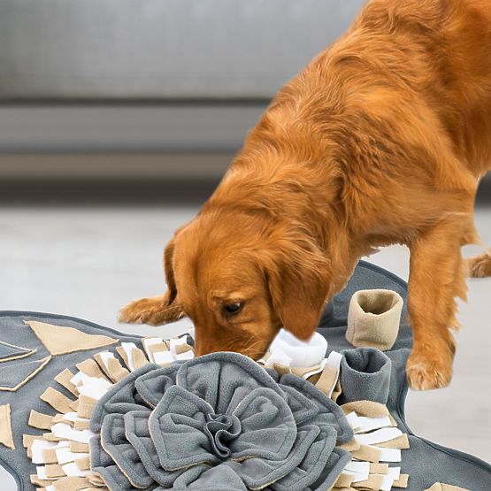 MATA WĘCHOWA DLA PSA PJ-028