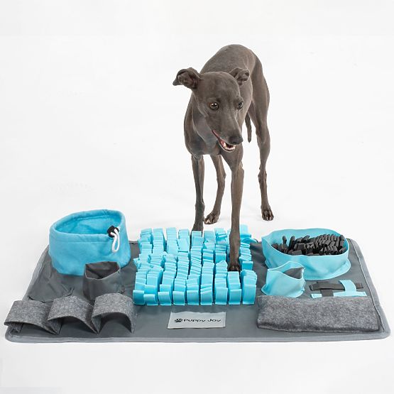 MATA WĘCHOWA DLA PSA PJ-029