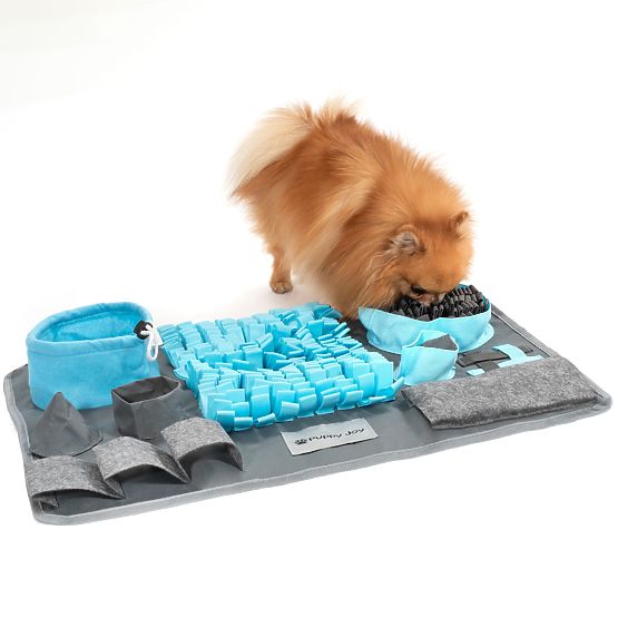 MATA WĘCHOWA DLA PSA PJ-029