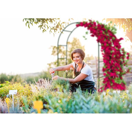 Metalowa pergola łuk czarna 240 cm