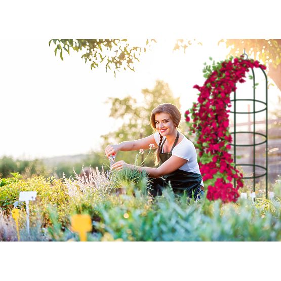 Metalowa pergola słupek ciemnozielona 190 cm