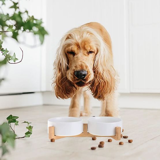 MISKA NA KARMĘ I WODĘ DLA ZWIERZĄT BIAŁA 331579