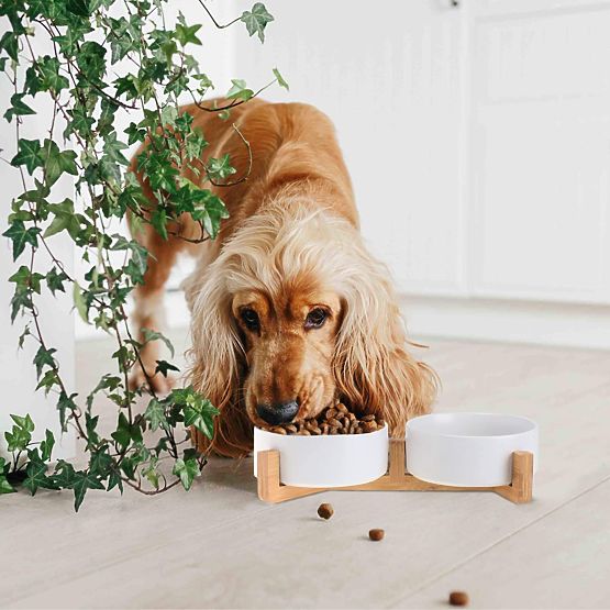 MISKA NA KARMĘ I WODĘ DLA ZWIERZĄT BIAŁA 331579