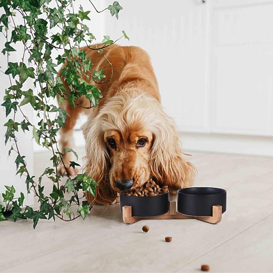 MISKA NA KARMĘ I WODĘ DLA ZWIERZĄT CZARNA 331579