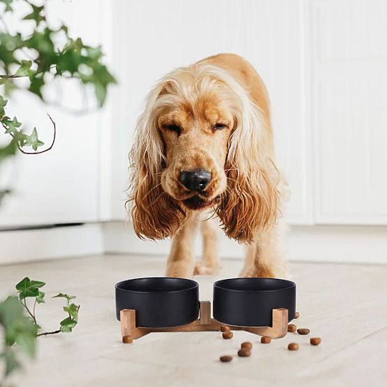 MISKA NA KARMĘ I WODĘ DLA ZWIERZĄT CZARNA 331579