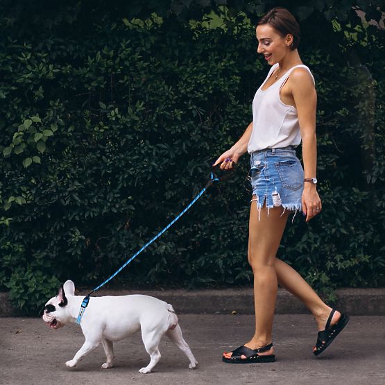 Odblaskowa smycz i obroża dla psa PJ-037 niebieska
