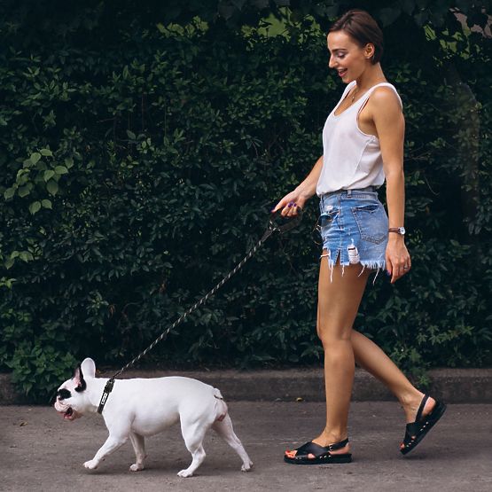 Odblaskowa smycz i obroża dla psa PJ-091 czarna