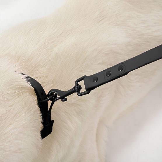 Smycz i obroża dla psa PJ-067 czarna S