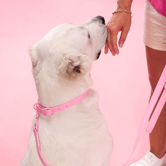 Smycz i obroża dla psa PJ-076 różowa L