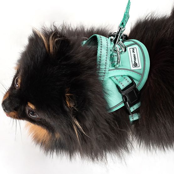 Smycz i szelki dla psa PJ-049 zielone XS