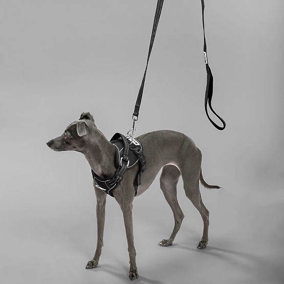 Smycz i szelki dla psa PJ-055 czarne M