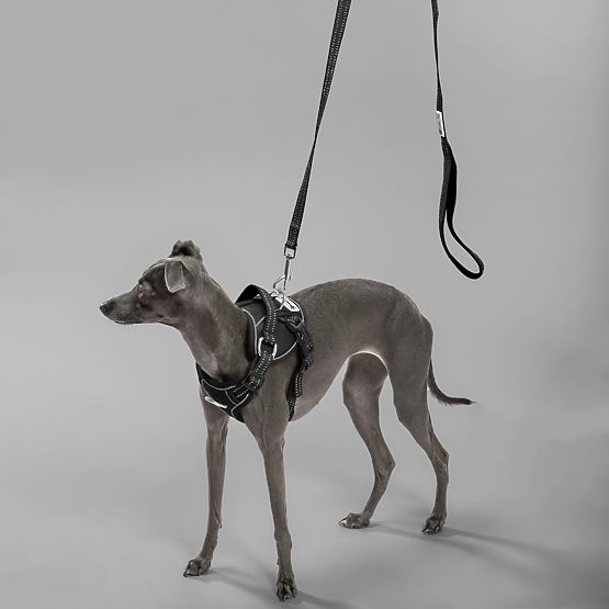 Smycz i szelki dla psa PJ-055 czarne M