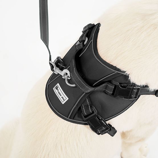 Smycz i szelki dla psa PJ-059 czarne L