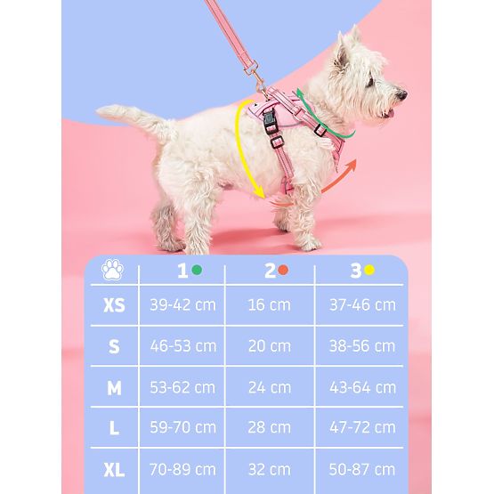 Smycz i szelki dla psa PJ-062 niebieskie L