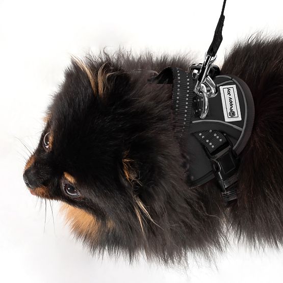 Smycz i uprząż dla psa PJ-047 czarna XS