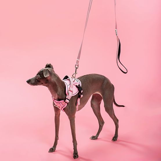 Smycz i uprząż dla psa PJ-056 różowa M