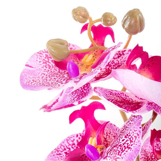 Sztuczny kwiat FALENI kolor fioletowy styl nowoczesny ameliahome