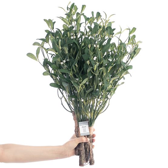 Sztuczny kwiat PLANTI kolor zielony styl nowoczesny ameliahome