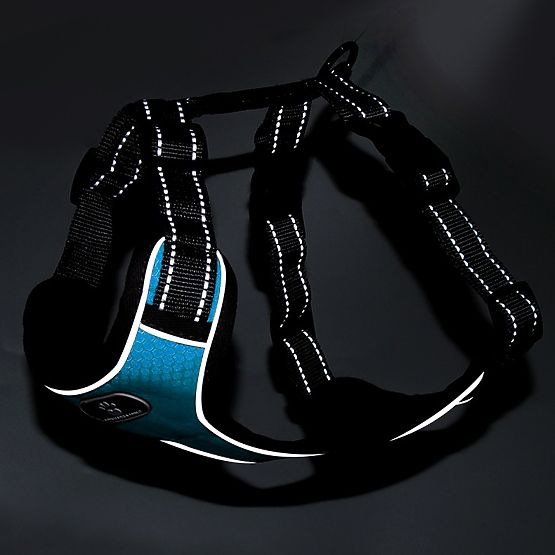 Treningowa uprząż dla psów ASTRO niebieska rozmiar L