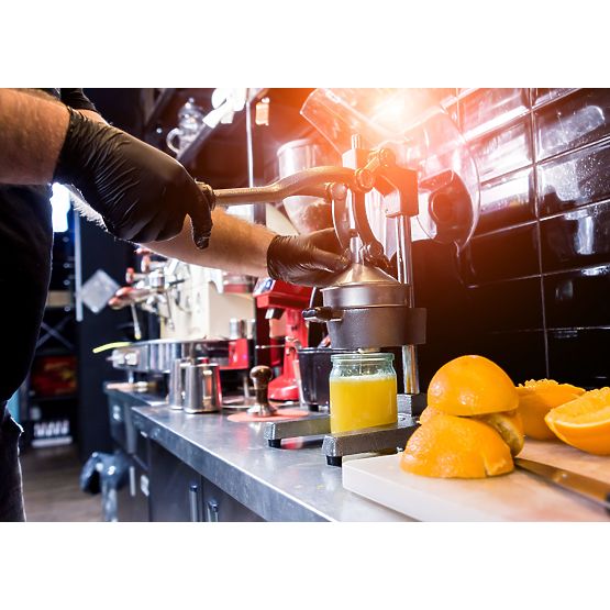 Wyciskarka do cytrusów i granatów Verna