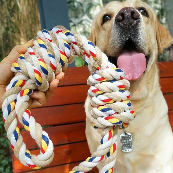 Zabawka do przeciągania z węzłami WALLY 60 cm