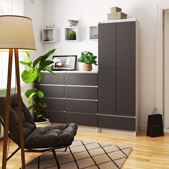 ZAMKNIĘTY REGAŁ R60 2D 1SZ CLP PK BIAŁY / SZARY