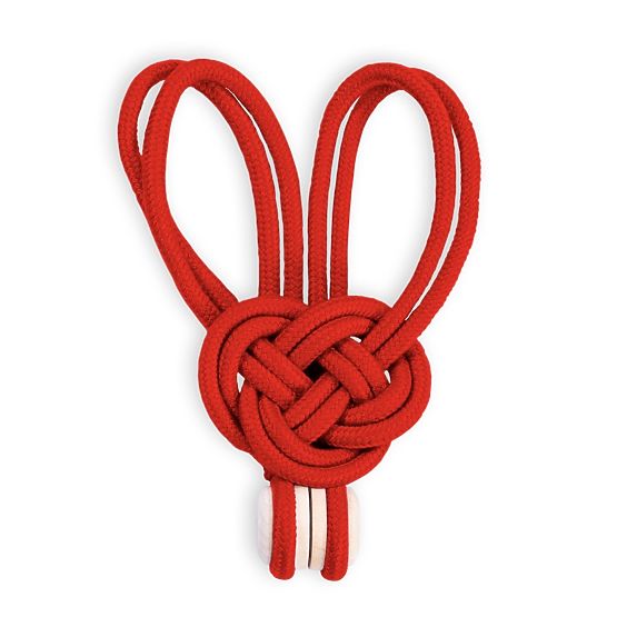 Zasłony - akcesoria EDMONTON kolor czerwony ameliahome