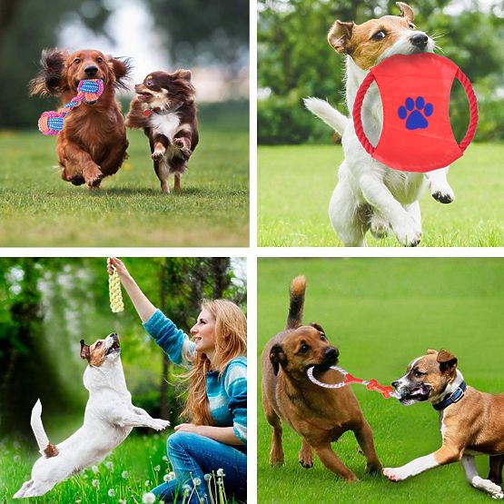 Zestaw 10 zabawek dla psów DYLAN szarpaki