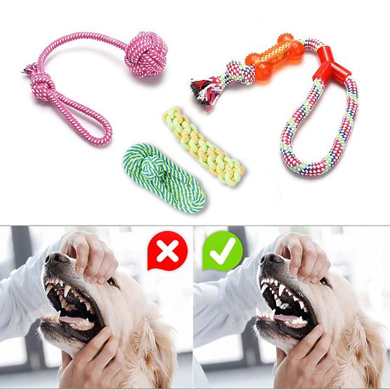 Zestaw 10 zabawek dla psów DYLAN szarpaki