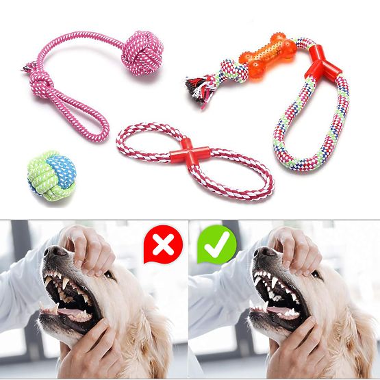 Zestaw zabawek do przeciągania dla psów SPANKY 5 sztuk