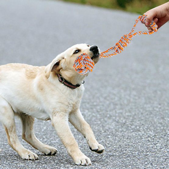 Zestaw zabawek do przeciągania dla psów SPANKY 5 sztuk