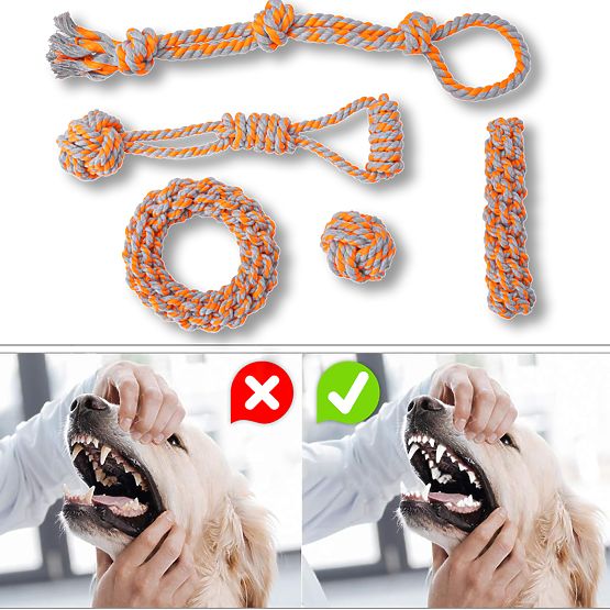 Zestaw zabawek do przeciągania dla psów SPANKY 5 sztuk