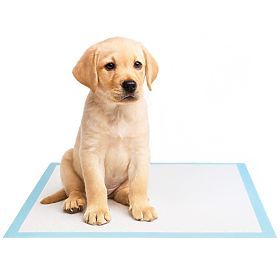 Higieniczne podkładki dla zwierząt BARRY 50 szt.