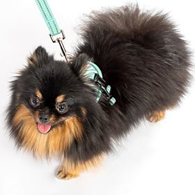 Smycz i szelki dla psa PJ-049 zielone XS, PuppyJoy