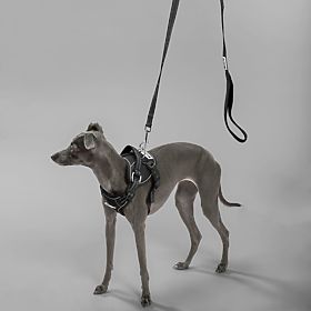 Smycz i szelki dla psa PJ-055 czarne M